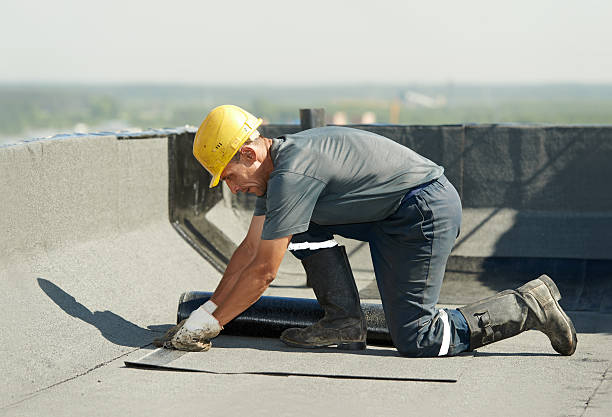 Best Eco-Friendly Insulation in West St Paul, MN